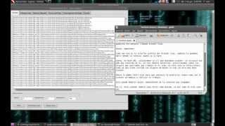 Grendel Scan Web Vulnerability Scanner Backtrack 5r2 [upl. by Ttemme27]