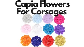 Capia Flowers Flat Carnation Capia Base for Corsages Bulk [upl. by Rafaela]