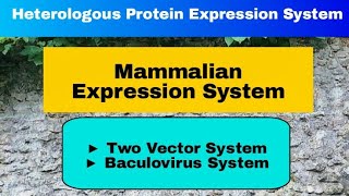 Mammalian Expression System in Hindi [upl. by Theressa]