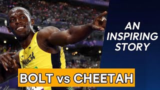 Usain Bolt vs Cheetah [upl. by Ireland]