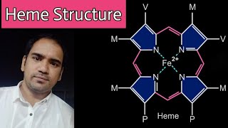 Heme  Structure  Porphyrin  types of porphyrins  bond between oxygen and iron [upl. by Pauline]