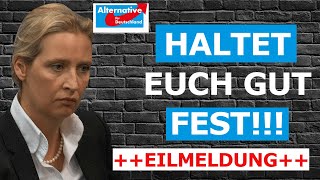 Schonungslose Wahrheit Alice Weidel redet Klartext [upl. by Cherin838]