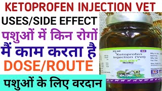 Veterinary MedicineKetoprofen Injection Vetपशुओं में किन रोगों में काम करता हैKetoprofen injecton [upl. by Primaveras818]