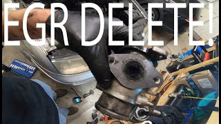 MK4 TDI EGR Delete  Project MK4 TDI Wagon Part 6 [upl. by Celine]