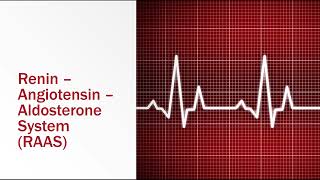 ReninAngiotensinAldosterone System [upl. by Ellennoj]