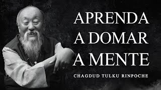 Chagdud Tulku Rinpoche  Aprenda a Domar a Mente [upl. by Spieler]