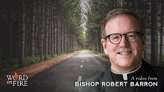 Bishop Barron on Morality Character and Relationships [upl. by Ostap903]