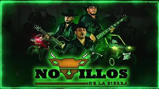 Novillos De La Sierra 2024  Grandes Exitos  Puros Corridos Mix [upl. by Alegnaed]