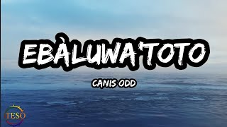 Ebaluwatoto by Canis odd lyrics [upl. by Akerahs]