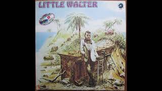 Little Walter – Shake Dancer [upl. by Accisej]