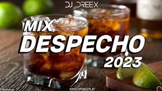 DESPECHO MIX 2023 Vol 3  DJ Dreex  Repitela No Sufrire Por Nadie Guaro RMX Si Se Fue Se Fue [upl. by Lindsay441]