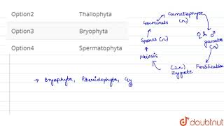 Zygotic meiosis is characteristic of [upl. by Zirtaeb394]