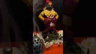 panduranga vittala pandarinatha vittala🙏🏻☀️🌈🌧️🐝🌿🏵️🎻🫒☔ytshorts vishnu [upl. by Nisbet737]