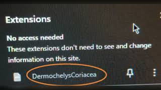 DermochelysCoriacea Extension  How to Remove Dermochelys Coriacea extension [upl. by Ennairda]