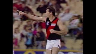 Essendon Highlights  Rd 5 1991 v Sydney [upl. by Lemert417]