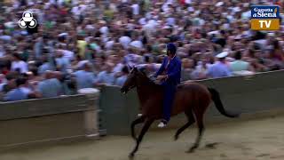 Terza prova  Palio di Siena 2 luglio 2024  SOGNO PALIO [upl. by Sedgewinn]