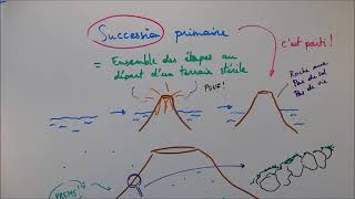 Succession primaire succession secondaire et climax [upl. by Chatav369]