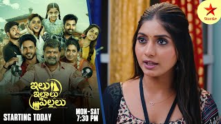 Ninnu Kori  Promo  12th Nov 2024  Star Maa Serials  MonSat at 1230 PM  Star Maa [upl. by Balf]