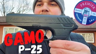 Gamo P25 Blowback Air Pistol Review [upl. by Oraneg193]