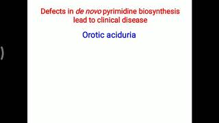 Orotic aciduria [upl. by Ansela812]