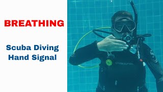 Breathe In and Out Sign  Scuba Diving Hand Signal [upl. by Ahseen225]