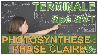 Photosynthèse  phase claire  Spé SVT  Terminale  Les Bons Profs [upl. by Aslin]