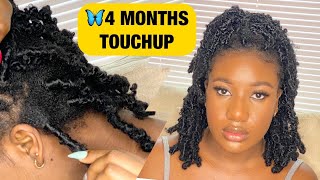 DIY BUTTERFLY LOCS TOUCH UPAFTER 4 MONTHS [upl. by Burkley]