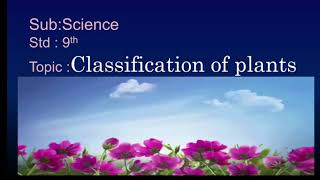 CLASSIFICATION OF PLANTS phanerogamsstd9thbyReshma Barge [upl. by Oilut]