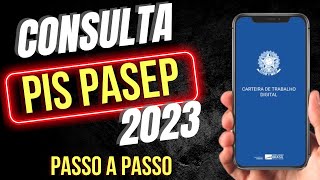 💸 LIBERADO Como Consultar VALOR do PISPASEP 2023 ABONO SALARIAL  PASSO A PASSO pelo APLICATIVO [upl. by Aoh452]