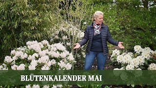 Blütenkalender Mai  Pfingstrosen Flieder Schneeball Rhododendron Storchschnabel [upl. by Ahsinawt]