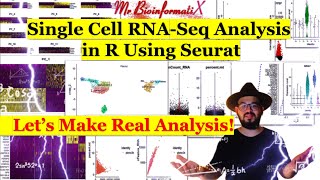 Single Cell RNASeq Analysis in R With SeuratscRNAseq Analysis SeuratBioinformatics for beginners [upl. by Nivlem254]