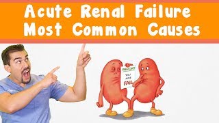 Acute Renal Failure Most common causes [upl. by Gonzales]