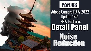 Adobe Camera RAW 145  Detail Panel Explained  Noise Reduction Part 03 [upl. by Isle]