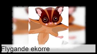 Flygande ekorre [upl. by Beutner]