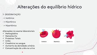 Equilíbrio hidroeletrolítico  Bioquímica Clínica [upl. by Davidson]