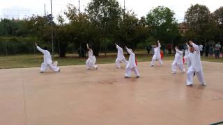 Forma di Tai Chi con il ventaglio [upl. by Lisabeth]