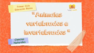 2º BÁSICOCIENCIAS NATURALES  Animales vertebrados e invertebrados [upl. by Henarat407]