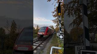 BR 648 Lint in Kronshagen train trainspotting railway [upl. by Averir]