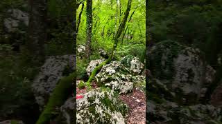 Monks Path In Woods  Ostrog Orthodox Monastery  Montenegro [upl. by Kolodgie]