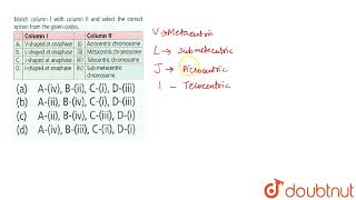 Match column I with column II and select the correct option from the given codes Column ICo [upl. by Lammaj]