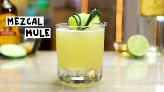 Mezcal Mule  Tipsy Bartender [upl. by Peria]