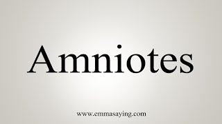 How To Say Amniotes [upl. by Nylasoj]