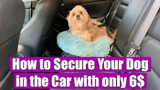 TUTORIAL How to secure your dog in the car with only 6 How to install dog seat belt  car leash [upl. by Melnick]