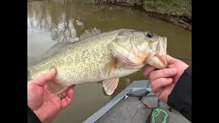 November 10th James River Bass Fishing bull shad 4x4quots [upl. by Luebke]