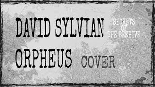 ORPHEUS DAVID SYLVIAN GUITAR COVER [upl. by Kathi]