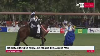 Concurso Nacional de Caballo Peruano de Paso finalizó este domingo en Fundo Mamacona [upl. by Stearne]