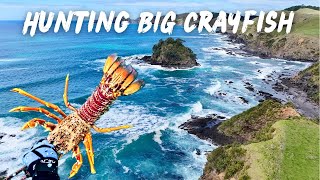 HUNTING BIG CRAYFISH IN PRISTINE REEFS – epic freedive and catch amp cook [upl. by Porta]