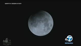 Video Partial lunar eclipse visible from Griffith Observatory l ABC7 [upl. by Kir]