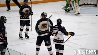 PJHL  New Hamburg Firebirds vs Hespeler Shamrocks [upl. by Aekim]