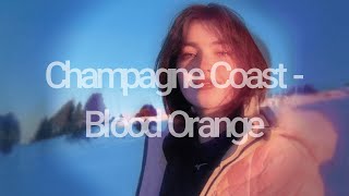 Champagne Coast  Blood Orange ending instrumental looped amp edited [upl. by Mcafee]